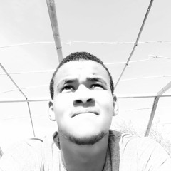 ahmed_nouh