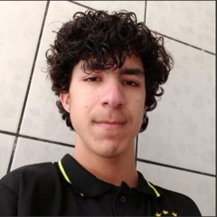 FELIPE MARTINS JAQUES
