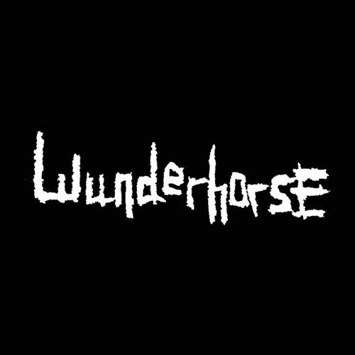 Wunderhorse’s avatar
