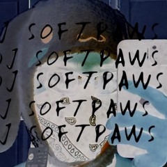DJ SOFTPAWS.LK