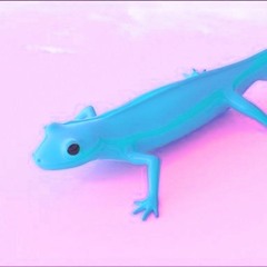tropical house gecko