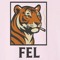 FEL_STUDIOS_