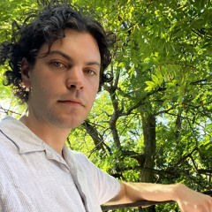 Joaquin Bear
