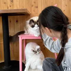 정라희