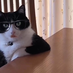 Rehab (Winter In Scottsdale)