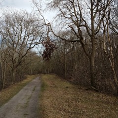Footsteps of a Three-Legged Man