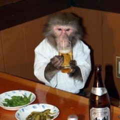 Drunkey Monkey