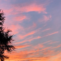 ✨🌞✨