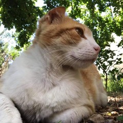 Ena