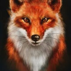 Laxin Fox