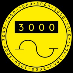 steiner3000
