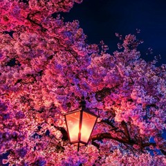 Twilightbloodnight53