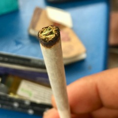 rollingallnight