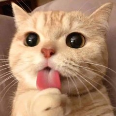 Ngụy Diệp Hương