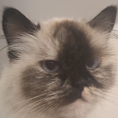 Марина Владимировна