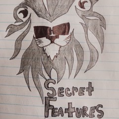 Secret Features