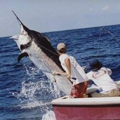 اسلام سعيد عروج