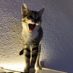Niki