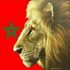 Mohamad Mir