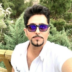 sina tabeian