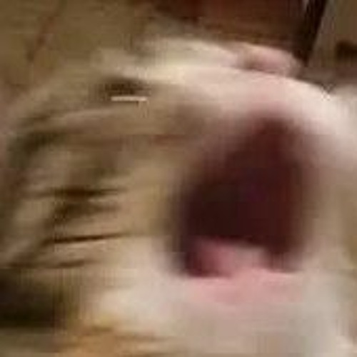 goaaa boyyy the savior