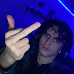 curlygnat