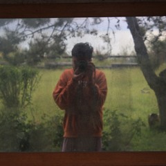 Radu.