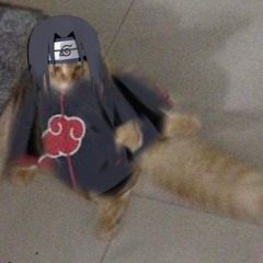 kkute