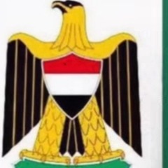 Rasha Kamel ElMagripy