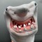 Sharkpu8