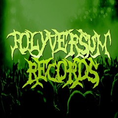 Polyversum Records - Home Studio and Digital Label