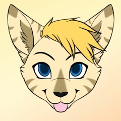 Ty-Ty The Furkit