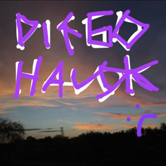 Diego Havok