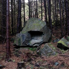 Rankine
