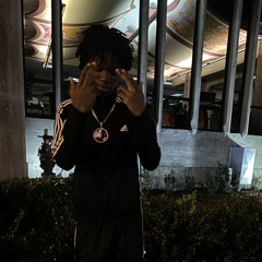 zo plug