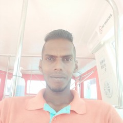 Sarey