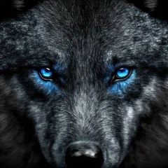 Mr Lykos