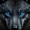 Mr Lykos