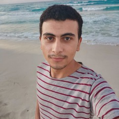 Abdelfattah Elshorbagy