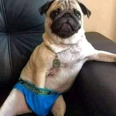 phudiee😤🏚️🅿️🪖