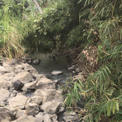 TrỌngg bê