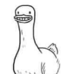 Jerri