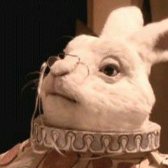 𝕮𝕬𝕻𝕿𝕬𝕴𝕹 𝕷𝖀𝕮𝕶𝖄 𝕱𝕴𝖁𝕰.𝕺