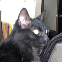 ola