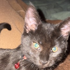 Skyy Talbert