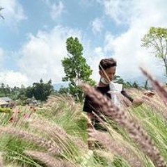 Dodi Dodi Mahar Dika