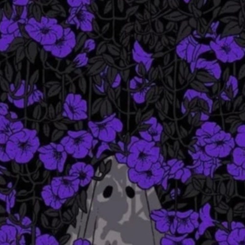 Find Me