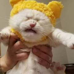 김혜림