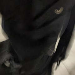 saiprol