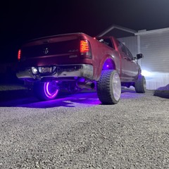 yfz450_gang